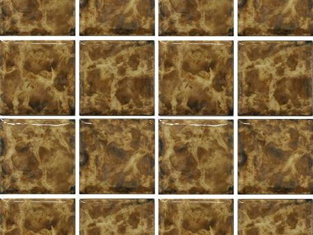 Tiger, 3  x 3  - Porcelain Pool Tile Sale