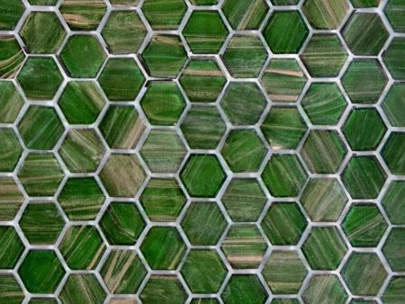 236H Jungle Canopy, Hexagon Mosaic - Glass Tile For Cheap