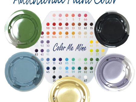 Additional Paint Color Online now