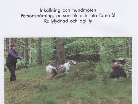 Aktiv med hund For Sale